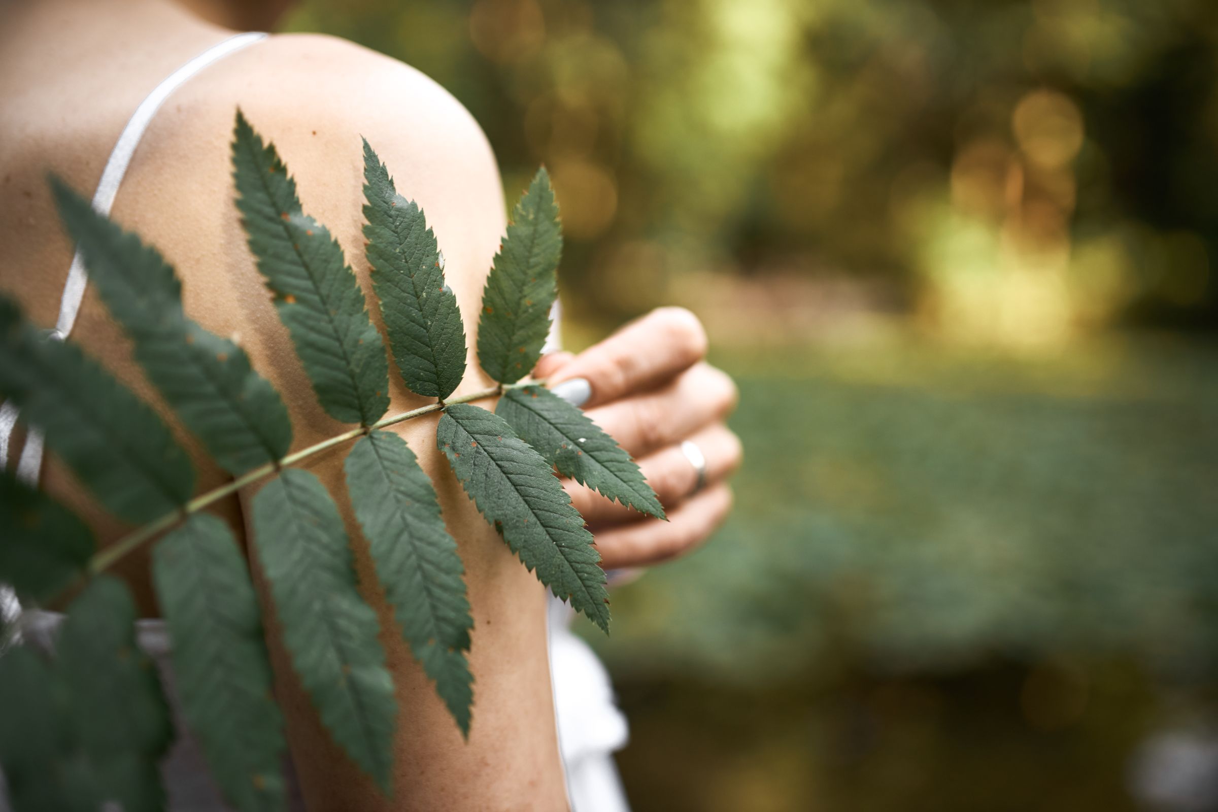 Cropped Image Unknown Mysterious Young Woman Posing Park Holding Green Leaf While Relaxing Outdoors Sunny Day Close Up Fern Plant Female Hand